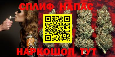 наркотики Нальчик