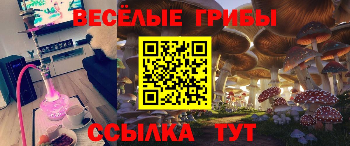 Галлюциногенные грибы прущие грибы  Псилоцибиновые грибы прущие грибы  Вход с VPN  Севастополь 